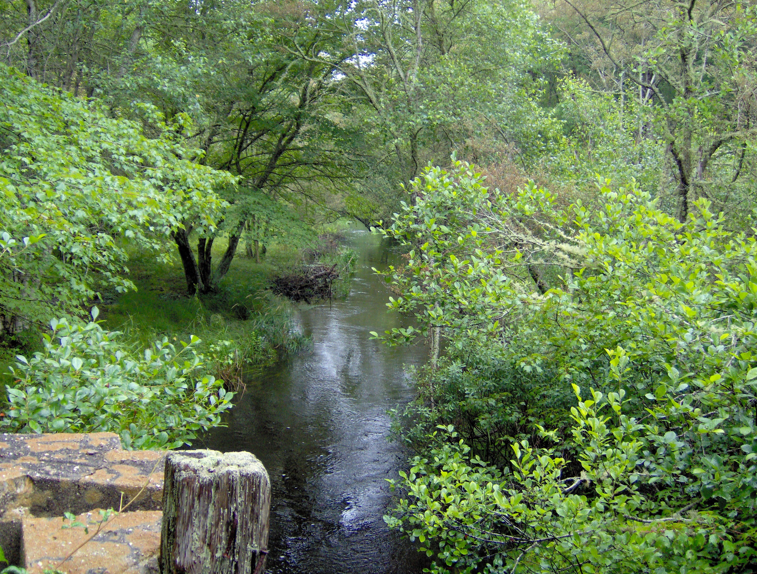 MoonakisQuashnet River