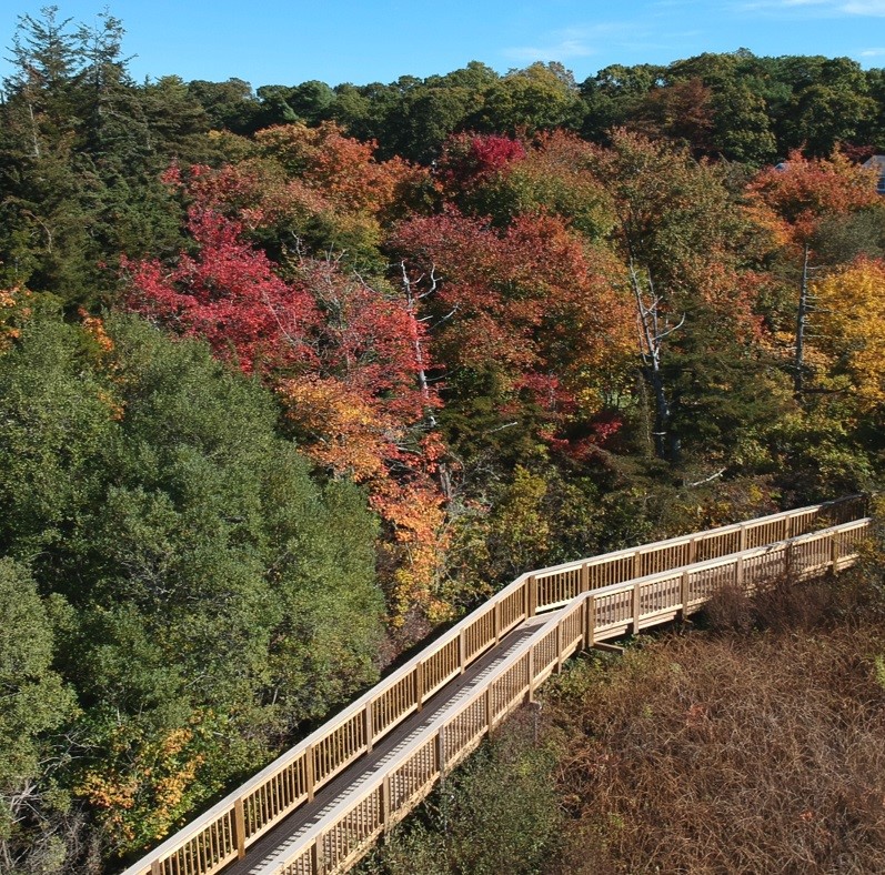 The acccessible boardwalk at Two Ponds.