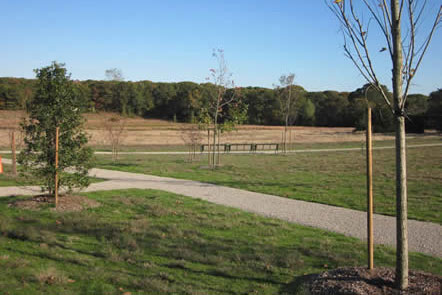 Teaticket Park